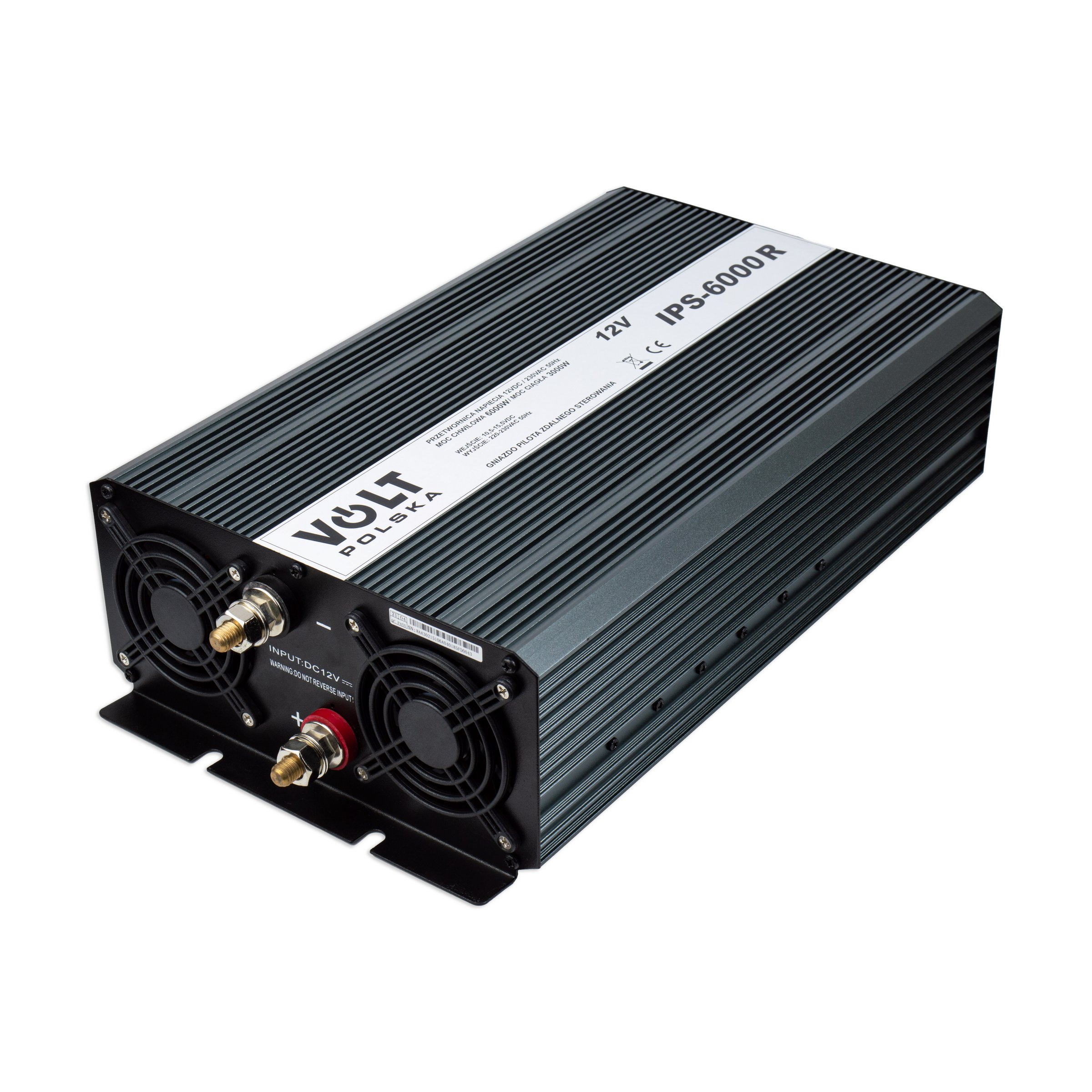 IPS 6000R 12V (30006000W) (2)